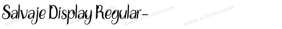 Salvaje Display Regular字体转换